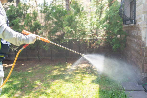 Trusted Pleasant Prairie, WI Pest Control Experts