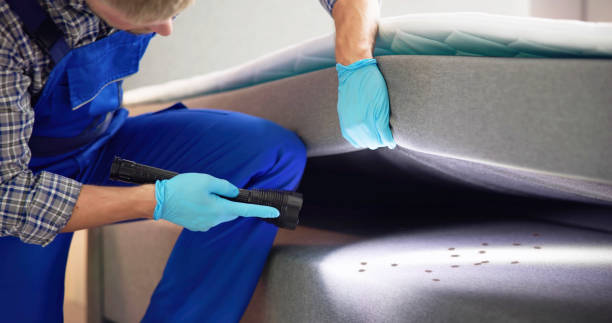 Best Pest Control Near Me  in Pleasant Prairie, WI